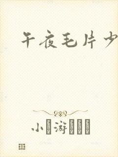 午夜毛片少妇