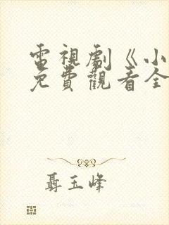 电视剧《小舅》免费观看全集