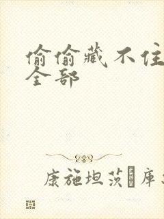 偷偷藏不住番外全部