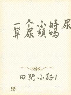 一个小时尿一次算尿频吗