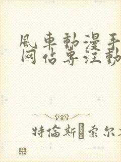 风车动漫手机版网站专注动漫的门户网