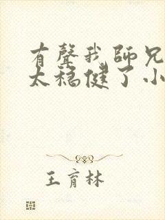 有声我师兄实在太稳健了小说