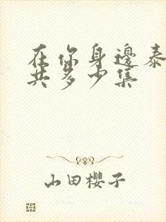 在你身边泰剧一共多少集封面