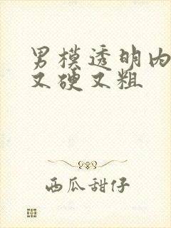 男模透明内裤里又硬又粗