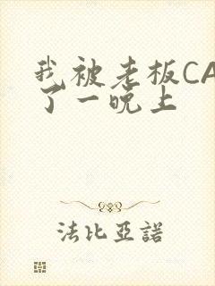 我被老板CAO了一晚上