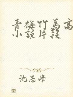 青梅竹马高h的小说片段