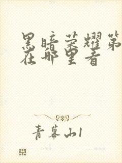 黑暗荣耀第二季在哪里看