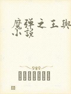 魔弹之王与战姬小说