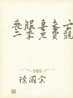 丧服妻未亡人第二季免费观看全集