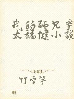 我的师兄实在是太稳健小说