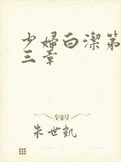 少妇白洁第二十三章