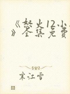 《怒火12小时》全集免费观看