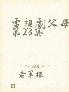 电视剧父母爱情第23集