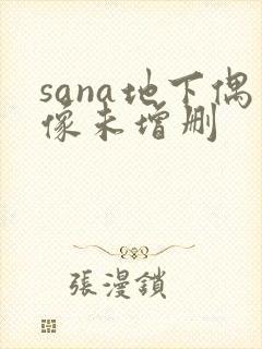 sana地下偶像未增删