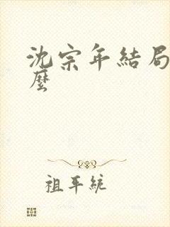 沈宗年结局是什么