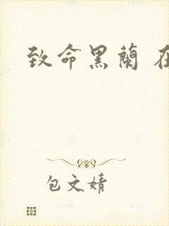 致命黑兰 在线封面