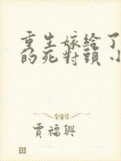 重生嫁给了前夫的死对头 小说