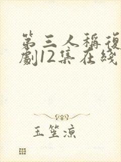 第三人称复仇韩剧12集在线观看