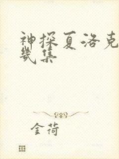 神探夏洛克一共几集封面