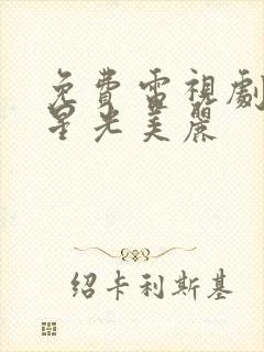 免费电视剧你比星光美丽