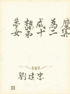 梦想成为魔法少女第十二集封面