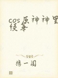 cos原神神里绫华封面