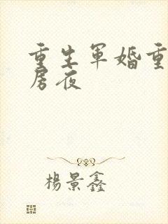 重生军婚重回洞房夜封面