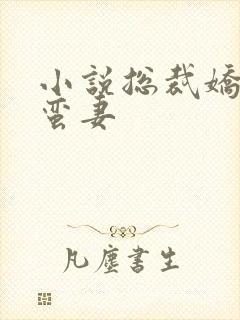 小说总裁娇宠小蛮妻