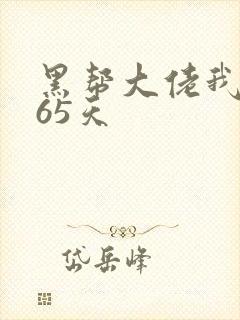 黑帮大佬我的365天