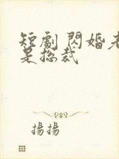 短剧 闪婚老公是总裁封面