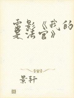 电影《我的姐姐是法官》