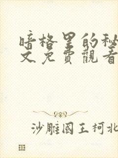 暗格里的秘密全文免费观看