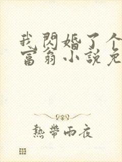我闪婚了个亿万富翁小说免费阅读封面