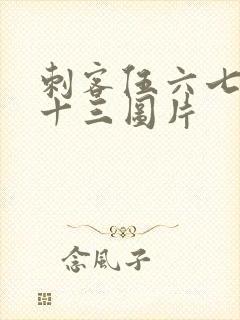 刺客伍六七梅花十三图片封面