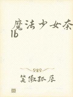 魔法少女奈叶slb