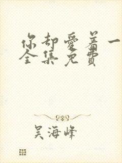 你却爱着一个他全集免费