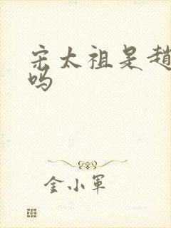 宋太祖是赵匡胤吗封面