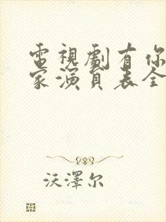 电视剧有你才有家演员表全部封面