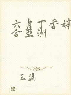 六月丁香婷婷综合亚洲