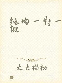 纯肉一对一到处做