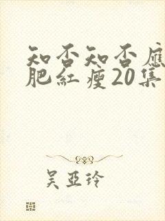 知否知否应是绿肥红瘦20集