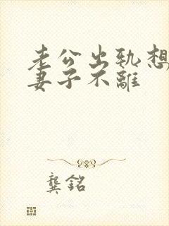 老公出轨想离婚妻子不离