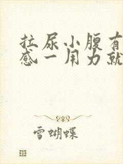 拉尿小腹有刺痛感一用力就痛