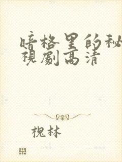 暗格里的秘密电视剧高清