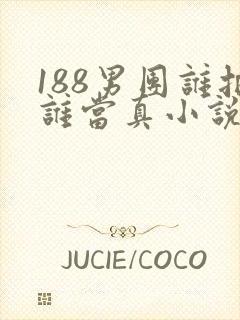 188男团谁把谁当真小说免费阅读封面