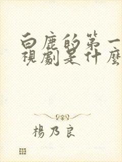 白鹿的第一部电视剧是什么