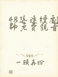 48集连续剧少帅免费观看高清