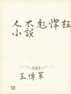 人不彪悍枉少年小说
