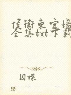 侯卫东官场笔记全集txt下载