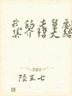 我的老舅剧情分集介绍大结局